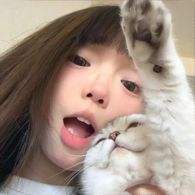 月季花开